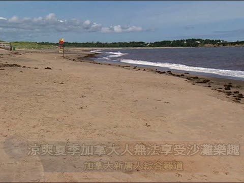 涼爽夏季加拿大人無法享受沙灘樂趣