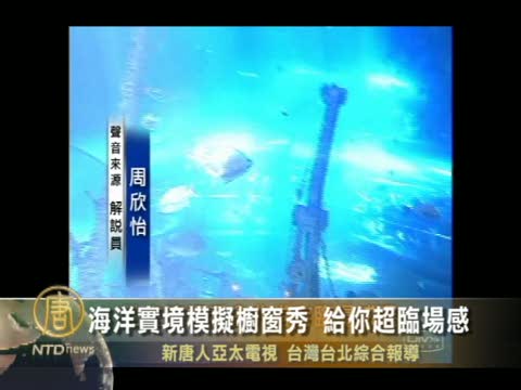 海洋實境模擬櫥窗秀 給你超臨場感