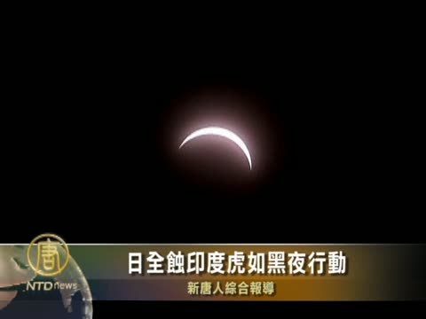 日全蝕印度虎如黑夜行動