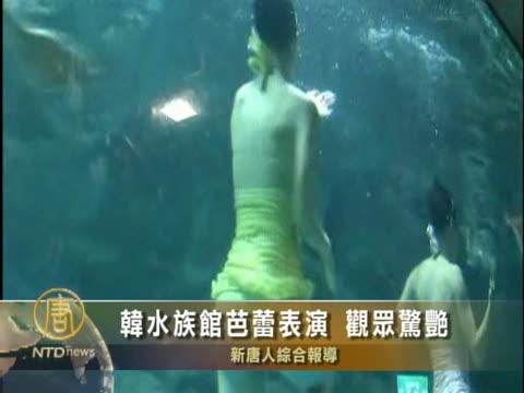 韓水族館芭蕾表演 觀眾驚艷