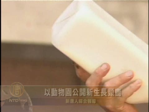 以動物園公開新生長頸鹿