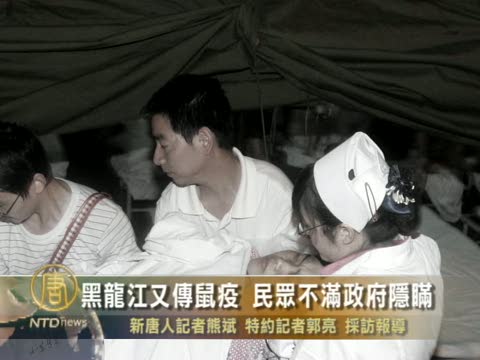 黑龍江伊春又傳鼠疫 民眾不滿政府隱瞞