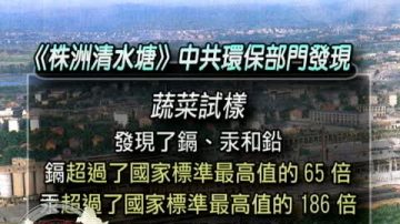 【中國禁聞】湘江重金屬含量超高 國際媒體關注