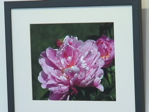 紐約第一銀行花卉照片展