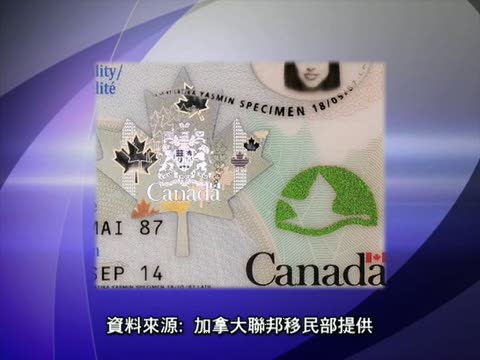 防偽楓葉卡面世