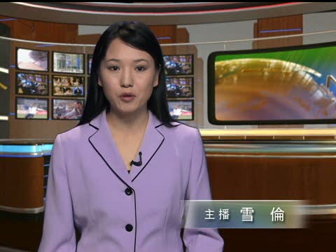 歐巴馬顧問因言論不當被迫辭職