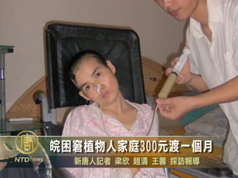 皖困窘植物人家庭300元渡一個月