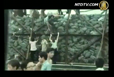 鮮為大陸人所知的越南華僑