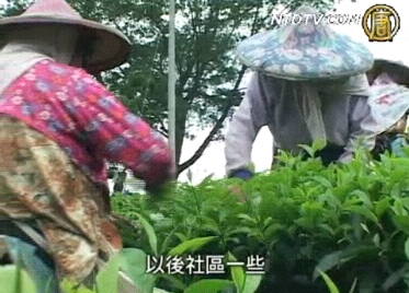 九二一地震十週年 社區重建有成