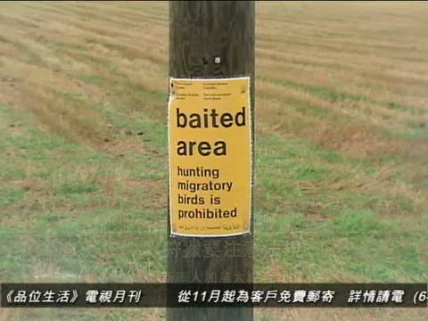 加拿大狩獵要注意法規