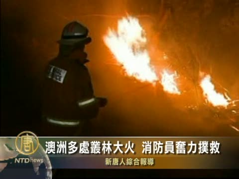 澳洲多處叢林大火 消防員奮力扑救