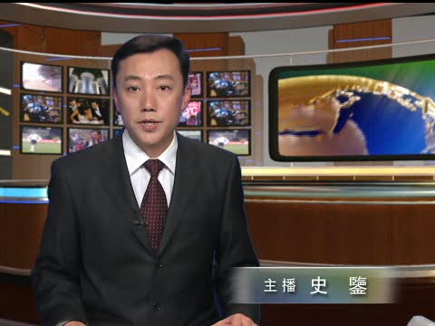 法庭為速審 下令為卡拉季奇指定律師