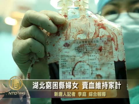湖北窮困縣婦女 賣血維持家計