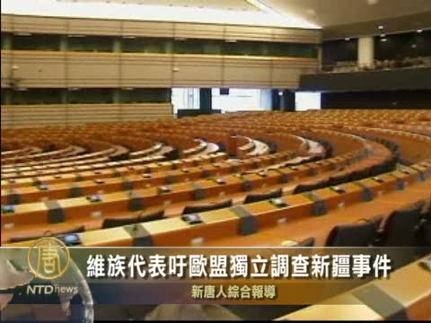 維族代表籲歐盟獨立調查新疆事件