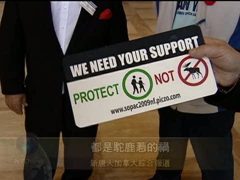 都是駝鹿惹的禍