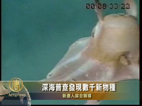 深海普查發現數千新物種