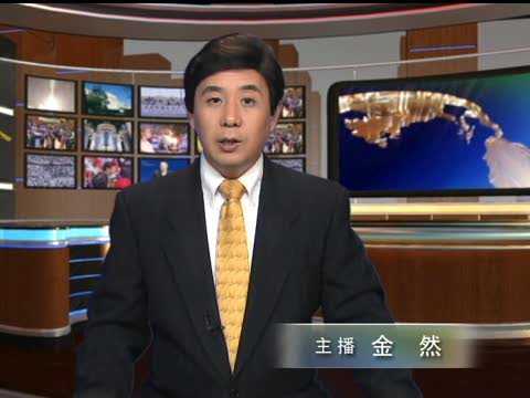 加拿大部分地區降大風雪