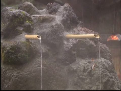 日本水豚冬日泡澡好享受