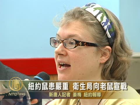 紐約鼠患嚴重 衛生局向老鼠宣戰