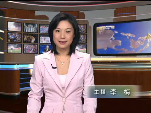 2010棕櫚泉國際電影節頒獎儀式開跑