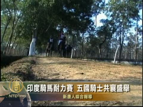 印度騎馬耐力賽 五國騎士共襄盛舉