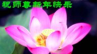 大陸法輪功學員恭祝創始人元旦快樂（三）