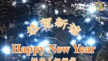 新唐人各地记者问候观众2010新年好