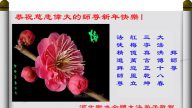 大陆法轮功学员恭祝创始人元旦快乐（十五）