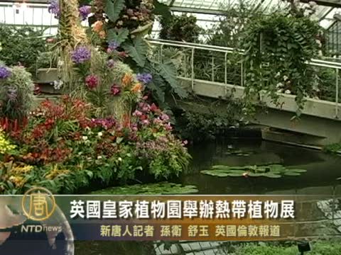 英國皇家植物園舉辦熱帶植物展