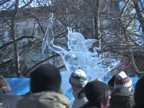 渥太華冰雪節首週景觀誘人