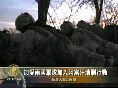 加愛兩國軍隊加入阿富汗清剿行動
