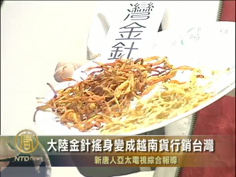 大陸金針搖身變成越南貨行銷台灣