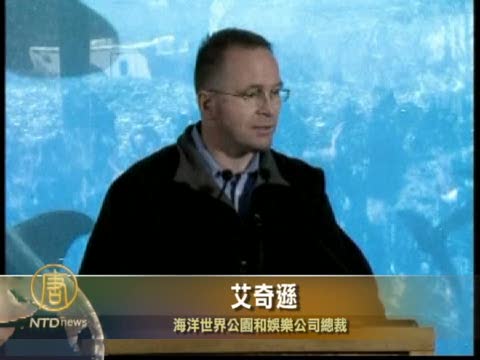 美海洋世界公園宣佈恢復虎鯨表演