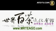 世界百茶文化会馆（广告）