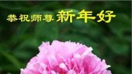 大陆法轮功学员恭祝创始人新年快乐（三）
