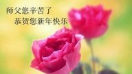 大陸法輪功學員恭祝創始人新年快樂（六）