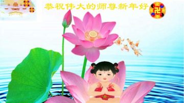 大陆法轮功学员恭祝创始人新年快乐（十）