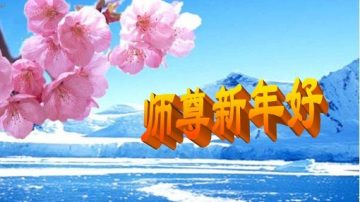 被非法关押法轮功学员遥祝师尊新年好