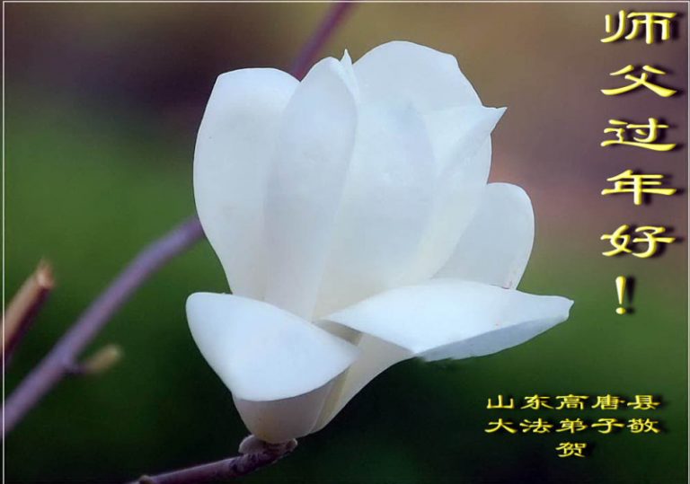 大陸法輪功學員恭祝創始人新年快樂（三十）