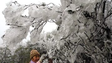 廣東低緯度地區出現壯觀冰凌景象