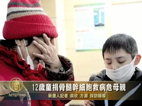12歲童捐骨髓幹細胞救病危母親