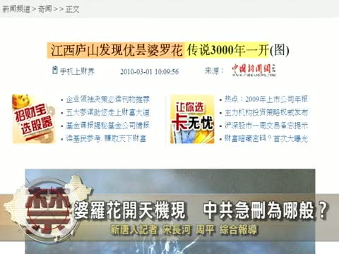 【中國禁聞】婆羅花開天機現　中共急刪爲哪般？