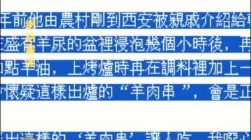 病死貓肉泡羊尿成了黑心羊肉串