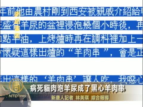 病死貓肉泡羊尿成了黑心羊肉串