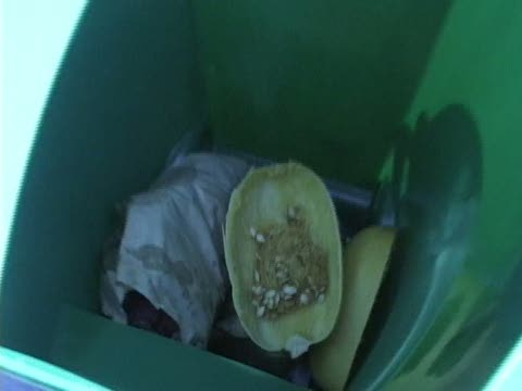渥太華“綠桶”項目變廢為寶
