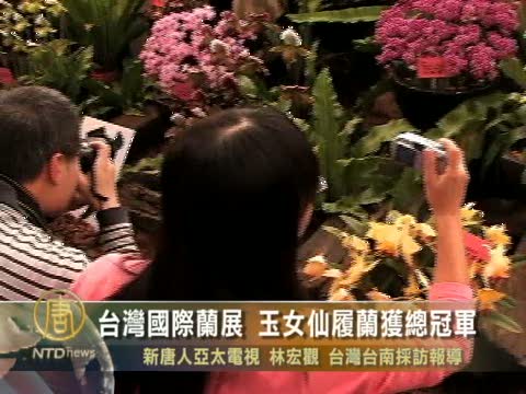 台灣國際蘭展 玉女仙履蘭獲總冠軍