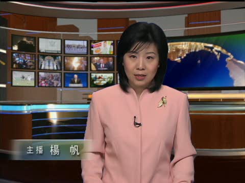 在阿富汗受傷的加士兵不治身亡