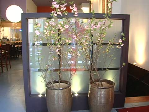 週末好去處：點水樓悠閑一杯茶