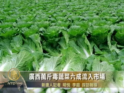 廣西萬斤毒蔬菜六成流入市場
