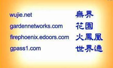 突破網絡的方法--動態網